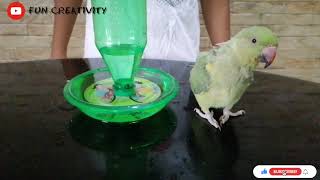 HOW TO MAKE SIMPLE BIRD WATER FEEDER||Mohammed Nabeel