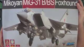 AMK Mig-31 B/BS Review