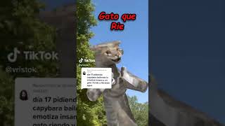 CAPIBARA BAILA LA EMOTIZA INSANA