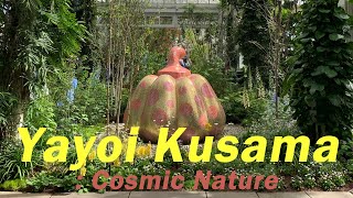 Yayoi Kusama: Cosmic Nature at New York Botanical Garden (NYBG) 야요이 쿠사마 전시