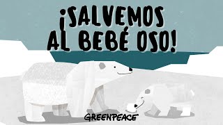 Un oso polar ha perdido a su cría