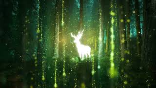 Les cerfs 🦌Décors spectacle danse - Gala Neverland Antibes 2024 🎶Leblanc - Pulse of Darkness