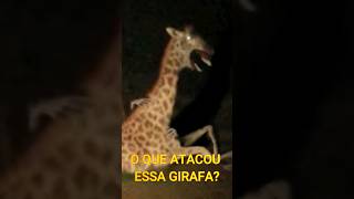 ALGO BIZARRO ACONTECEU COM ELA #scary #assustador #videosassustadores #kastorcurioso