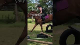 these r my most recent riding vids guys bare with me, new horse too so still getting used to her 😭