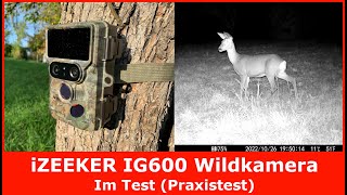 iZEEKER IG600 Wildkamera || Im Test (Praxistest) || 4K 30fps, WiFi & zwei Objektive