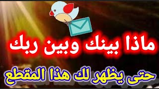 رسالتك الليله 🕊 💌 انت صابر وربنا هيعوضك خير ابشر فهى عاجله لك  بالتأكيد تقصدك انت #رضوى_ايمانيه