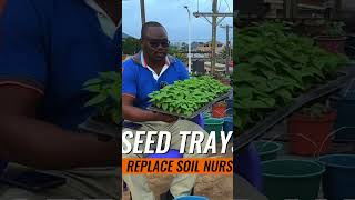 How Seed Trays has become a Game Changer