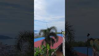 Things to do in Phuket view point Patong / Wat Doi Thep Nimit Monastery