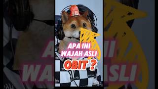 Inilah wajah asli OBIT Si Anjing Lucu