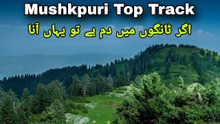 Epic Hiking Adventure from Donga Gali to Mushkpuri Top | Drone Footage"