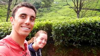 Back to India - Part 3:  Munnar