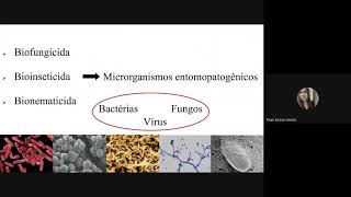 GEAU - Controle Biológico de Doenças e Nematóides