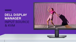 Dell Display Manager | Input Source and KVM