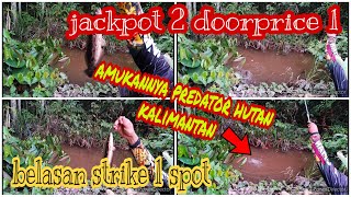 mancing mania wader betok keting malah dapat 2 jackpot plus 1 doorprice | spot celah gunung kembar