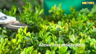 Metro Outdoor Promotion Film 4 OutdoorPlants ENGLISH HD 151104