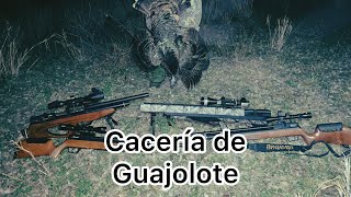 Caceria de Guajolote #turkey #hunting #airgun #turkeyhunting #airgunhunting  #pavosalvaje #viral