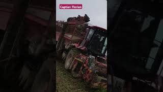 #holmer terra DOS T4 #riccic #farmvlog #farming #agriculture #landwirtschaft #fy Florian S. Thx