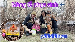 LỄ PHỤC SINH BON MUN RA VƯỜN NHẶT TRỨNG / Cuộc sống ở Phần Lan pääsiäinen päivää