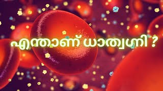 dhatvagni malayalam എന്താണ് ധാത്വഗ്നി  ? ആയുര്‍വേദത്തില്‍ ഇതിന്ടെ  പ്രാധാന്യം എന്താണ്? രസ ധാത്വഗ്നി