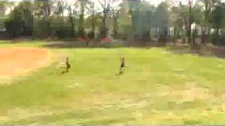 pitman v glassboro softball.wmv