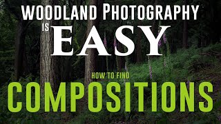 WOODLAND PHOTOGRAPHY IS EASY a simple guide to compositions