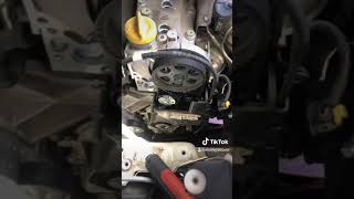 500L timing belt  Zahnriemen cinghia distribuzione