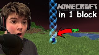 Minecraft But It's In 1 Block!!!