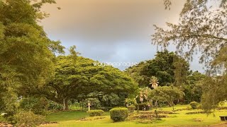 Late Afternoon Walk in Liliuokalani Park and Gardens Hilo Hawaii