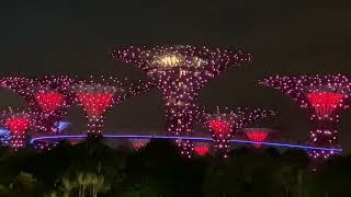 📍Marina Bay Sands, Gardens by The Bay , Singapore at night