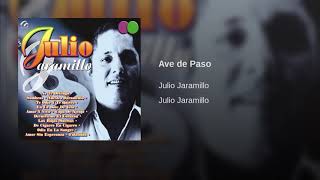 Ave de paso - Julio Jaramillo (pasillo) [Letra] (Hd)