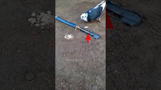 Pigeon trap | bird trap easy homemade #shorts #youtubeshorts #ytshorts