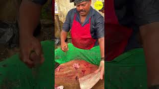 KASIMEDU SPEED SELVAM POMFRET FISH CUTTING VIDEO / cutting focus #kasimeduselvam #bigfishcutting