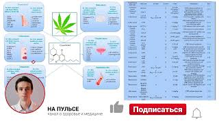 LIVEGOOD. Каннабидиол CBD 🌿 Целебный компонент конопли против рака и для нервной системы.