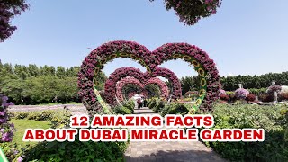 AMAZING FACTS ABOUT DUBAI MIRACLE GARDEN