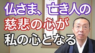 仏さま、亡き人の慈悲の心が、私の心となる。　（ショート法話496）