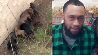 Pit Bull breeder mauled to death by his own Pit Bulls