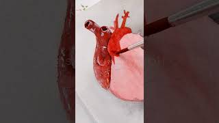 Realistic Human Heart Painting||Watercolour painting #shorts #humanheart #realisticart