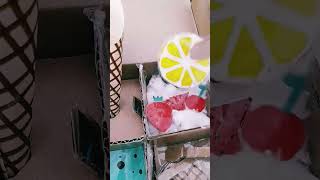 diy ice cream shop #asmrsounds #asmr #asthetic #icecream