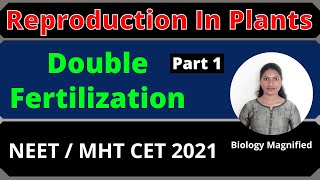 PollenPistilInteraction | Double Fertilization Part 1 | Reproduction in Plants | NEET | MHTCET 2021