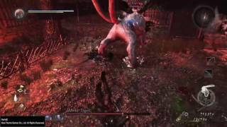 Nioh White Tiger boss fight