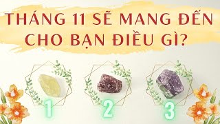 🌟Tháng 11 Sẽ Mang Đến Cho Bạn Điều Gì?🤫🔮