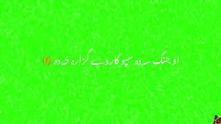 pashto green screen shayri. Munir boniri