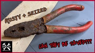 VERY RUSTY PLIERS… Can they be Restored?