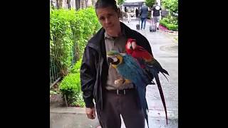 Birds at  mission inn