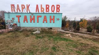 Парк Львов "Тайган"  г. Белогорск.