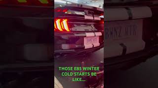 E85 COLD STARTS AND WINTER BLUES.....