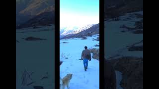 Dog love ❤️ #manali #dog #doglover #snow #subramani #leo #alone #traveller #shorts #shortvideo #asmr