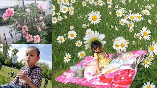 Beautiful day in my life | Picnic Time| Situation in Germany is better | COVID 19 in Germany | DIML