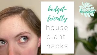 House plant hacks | BUDGET FRIENDLY