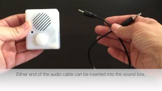 Re-recordable Sound Box - EASY to RECORD from any device